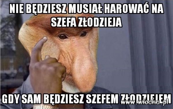 Wybór