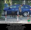 Zero litości dla dewiantów