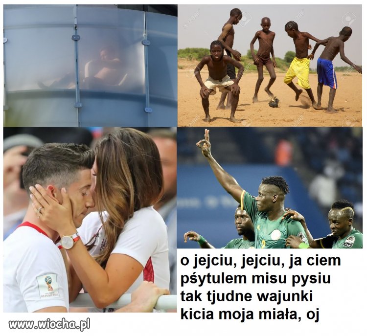 Niech kicia odpoczywa