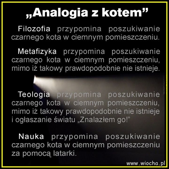 "Znalazłem go"