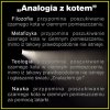 "Znalazłem go"