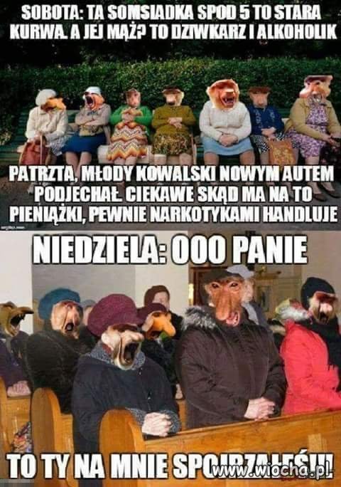 Brak słów 