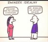 Związek idealny
