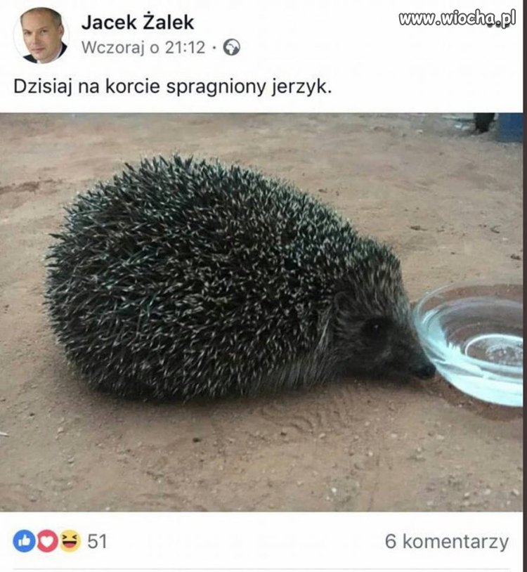 Poseł RZalek i jego zmagania z ortografią.