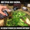 Zdrowe odżywianie w życiu