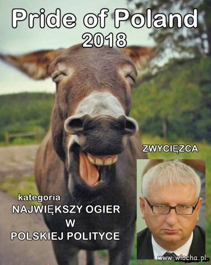 And the winner is ...