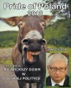 And the winner is ...