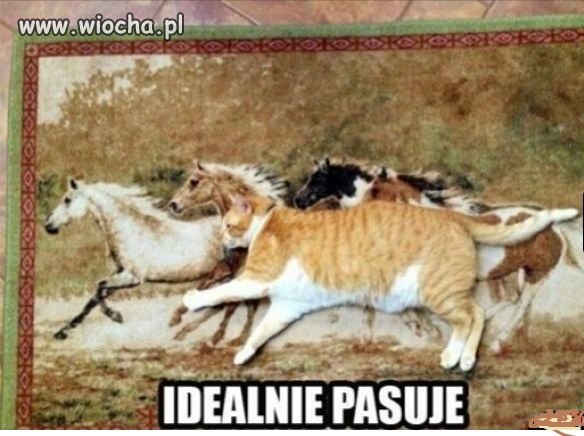 Kamuflaż