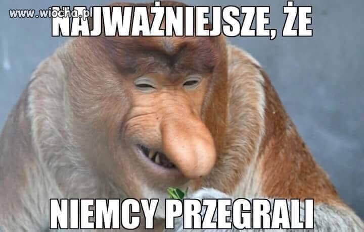 Ukryty chichot "dobrozmianowej" cebuli 
