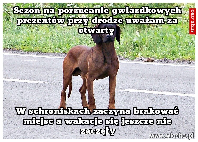 Człowiek brzmi dumnie