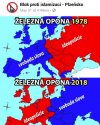 Coś w tym jest