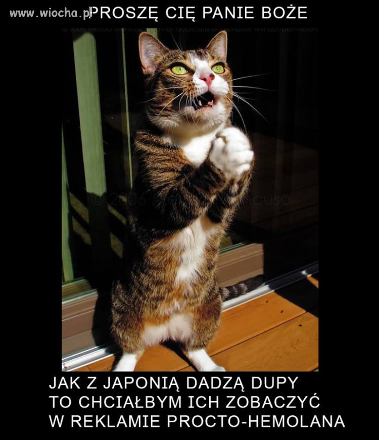 Na dzisiejszy dzien