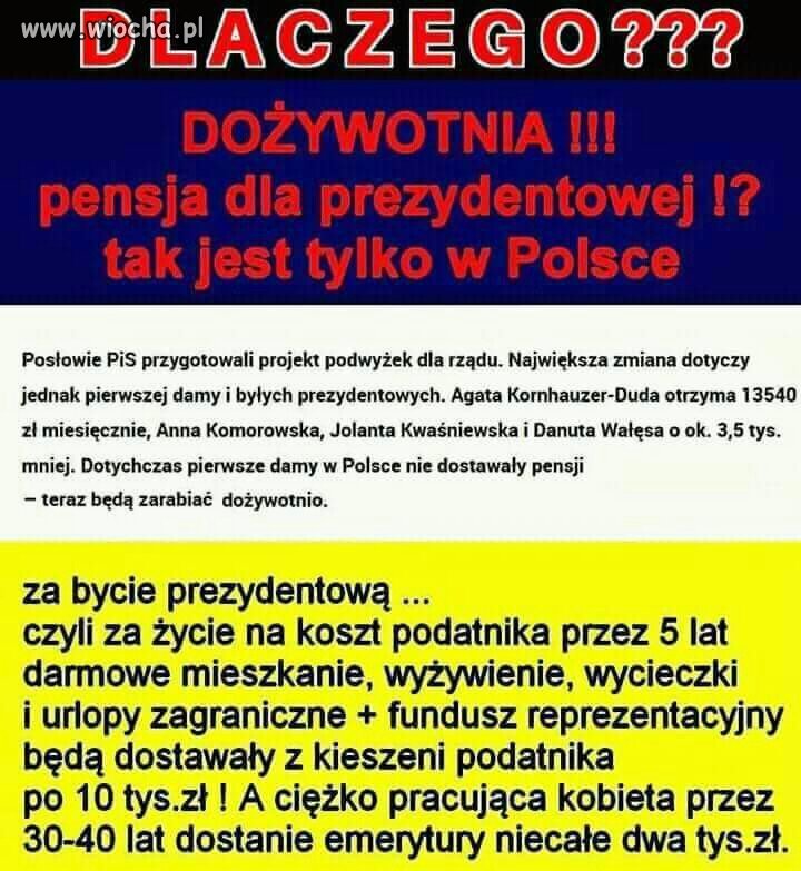 Za co? Się pytam.