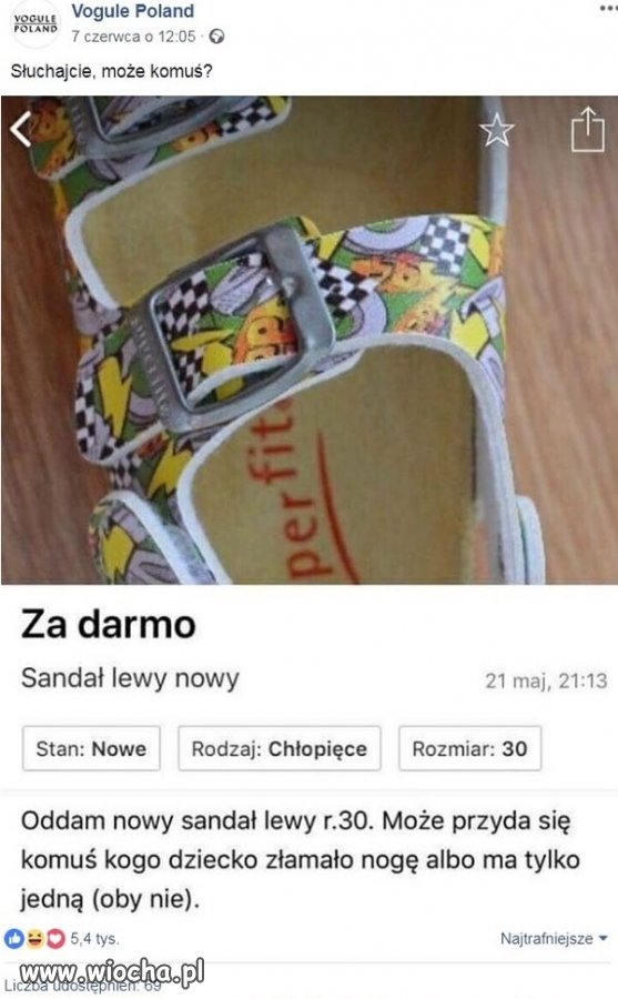 Zupełny brak mózgu
