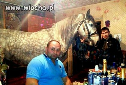 Sylwesrtowo