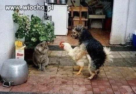 Tak...