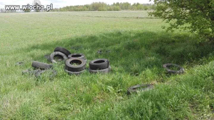 Zielono mi