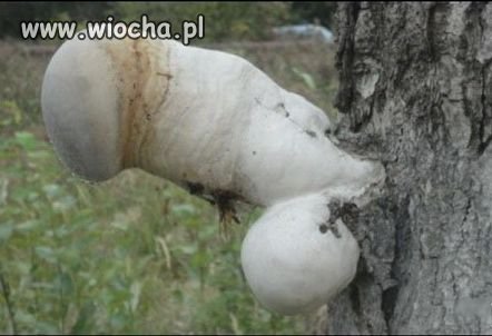 Uauuu...