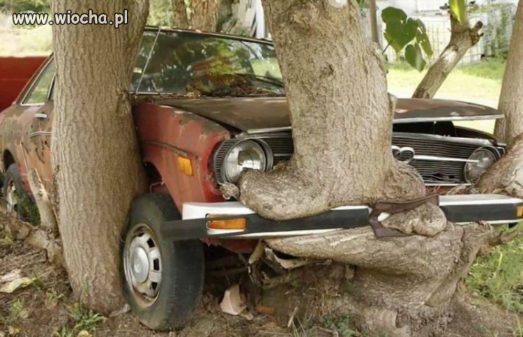 Sprzedam Audi z wykończeniem drewnianym.