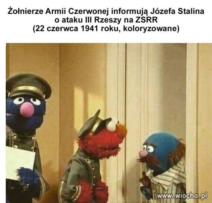 Zatrzymane w kadrze