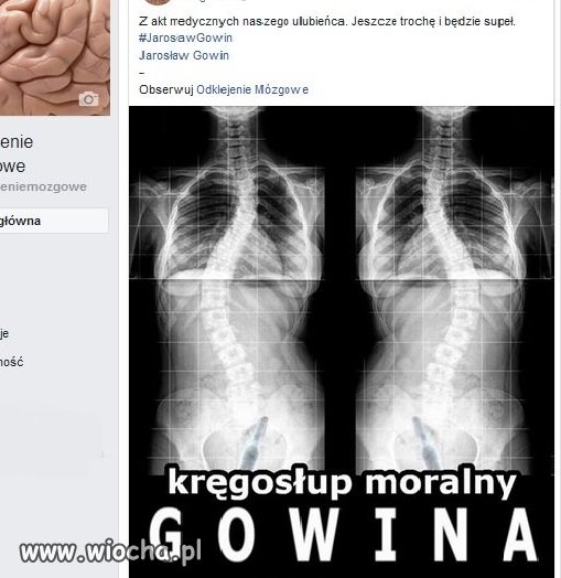 Gowin