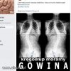 Gowin