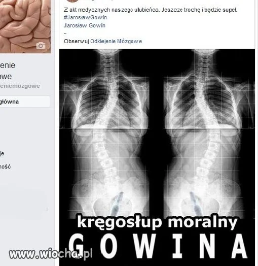 Gowin