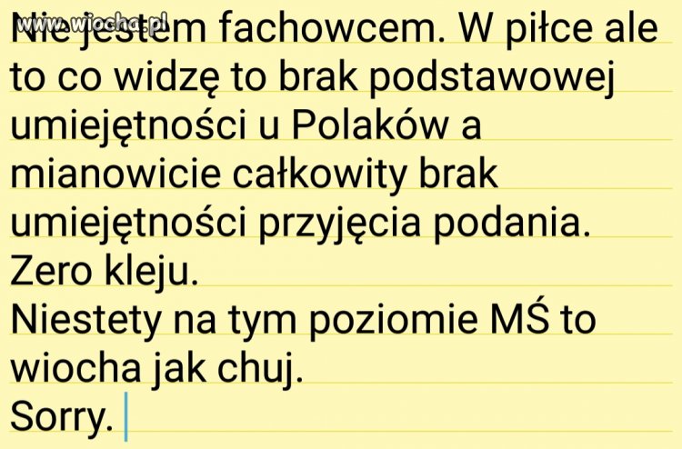 NIESTETY 