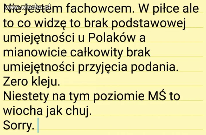 NIESTETY 