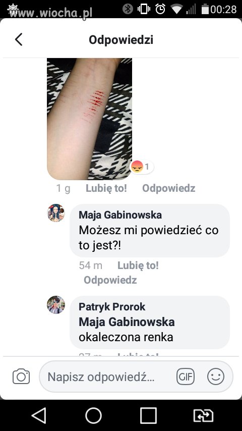 Pocienta
