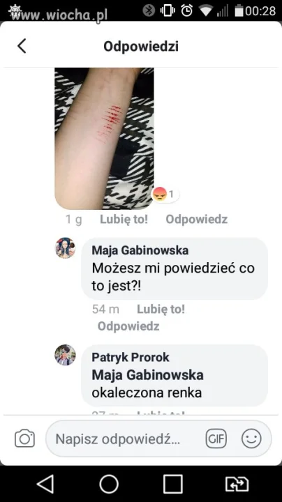 Pocienta