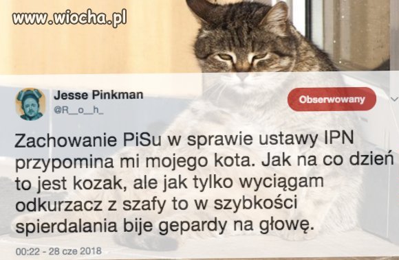 No i się nakozaczyli