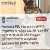 No i się nakozaczyli