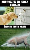 Nauka języka