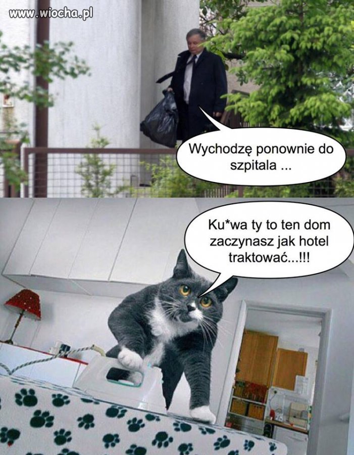 I spakował się w worek na śmieci, i poszedł