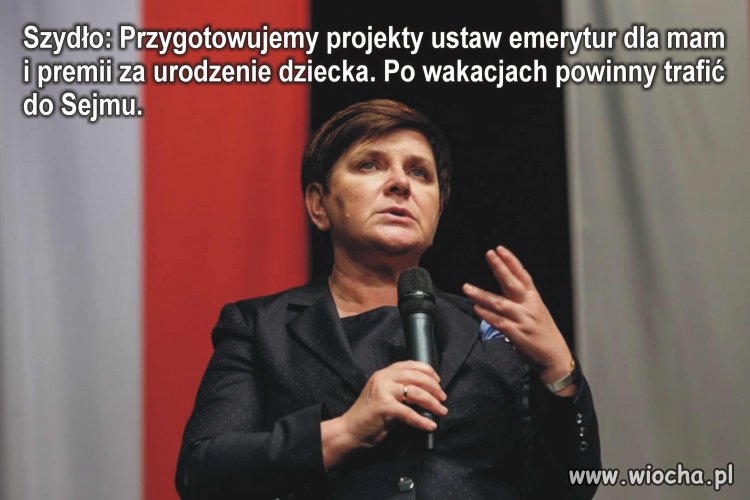 Promocja patologi trwa w najlepsze