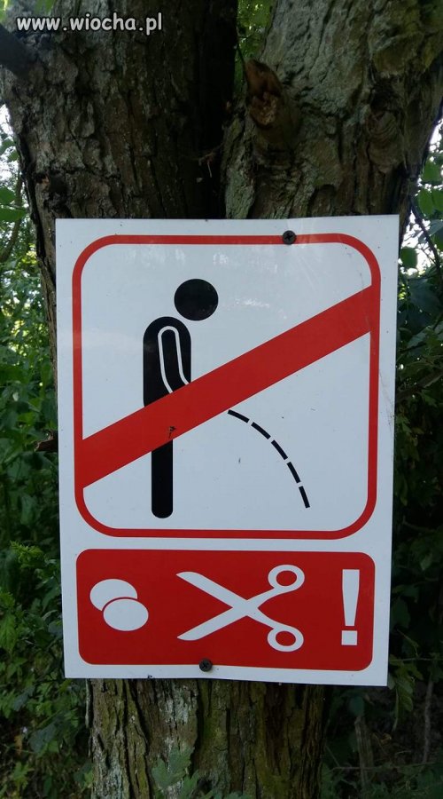 Chyba lepiej w spodnie... 