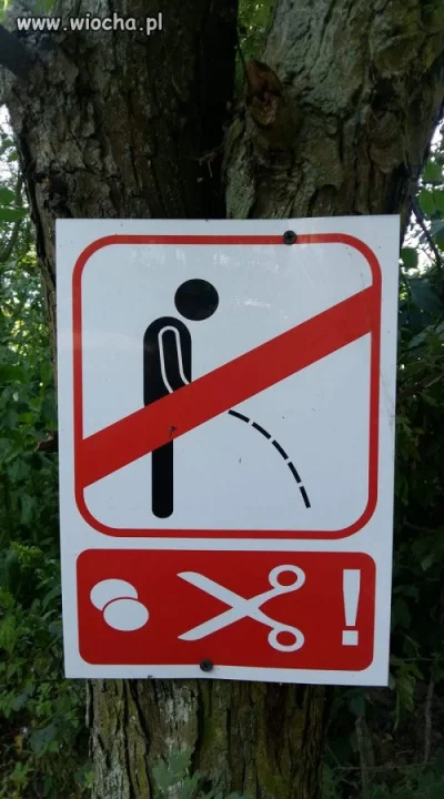 Chyba lepiej w spodnie... 