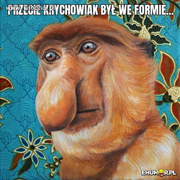 Dlaczego Krychowiak???