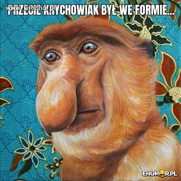 Dlaczego Krychowiak???