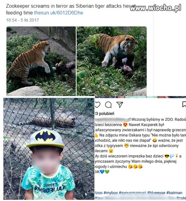 Janusze w ZOO