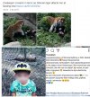 Janusze w ZOO