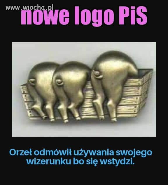 Czy to peło czy pis