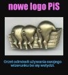 Czy to peło czy pis