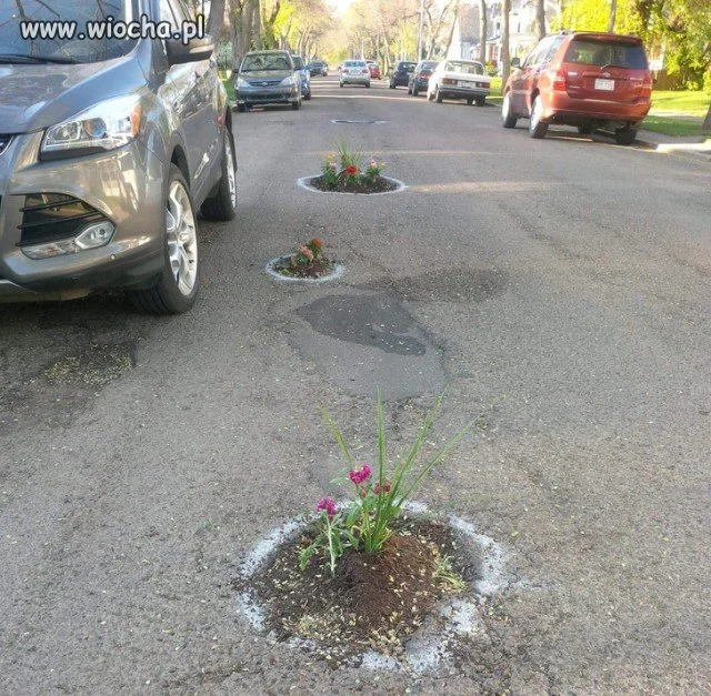 Sposób na dziury 