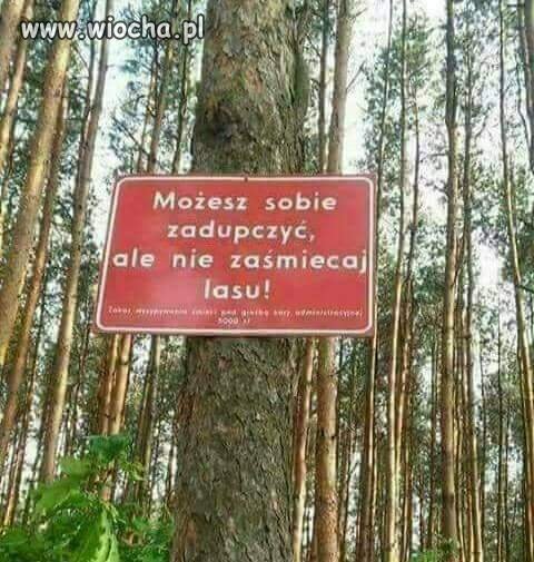 Las dla wszystkich 