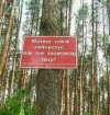 Las dla wszystkich 