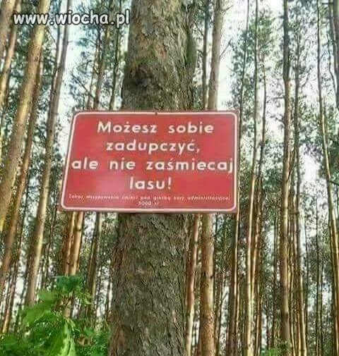 Las dla wszystkich 