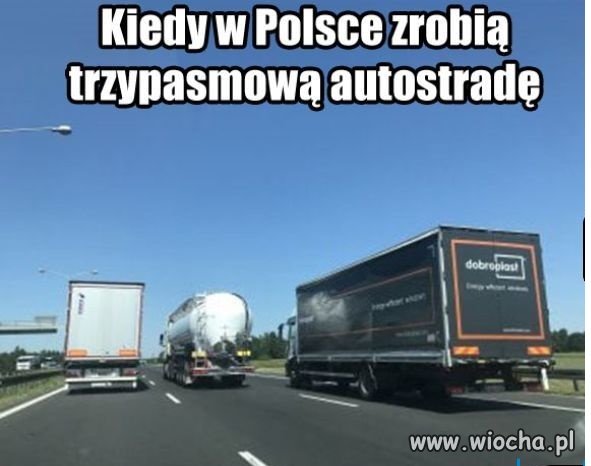 Wyścigi żółwi