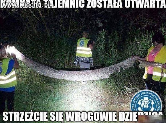 Komnata 
